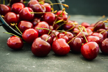 Ripe and juicy cherries on the dark rustic background. Selective focus. Shallow depth of field.