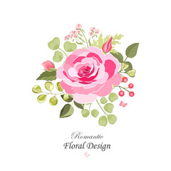 Flowers set. The rose elegant card. Vector illustration.