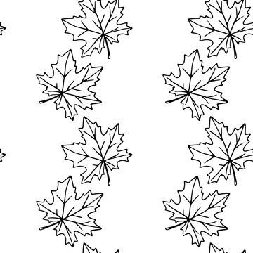 Seamless pattern of contoured maple leaves isolated on a white background. Simple vector texture for fabric, invitations, home textiles. Concept of autumn, forest, leaf fall