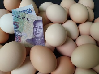 investment in organic egg with chinese money for healthy food