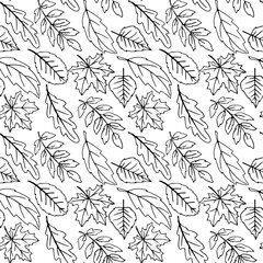 Seamless pattern falling leaves. Vector autumn texture isolated on white background, hand drawn in sketch style, black outline. Concept of forest, leaf fall, nature