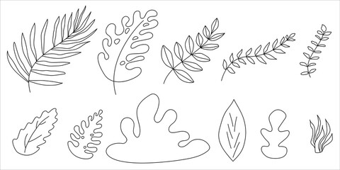 Set of green leaves. Vector illustration.