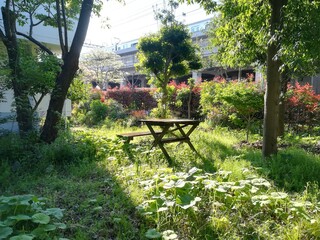 Obraz premium nature in japan、日本の自然、日本の春夏