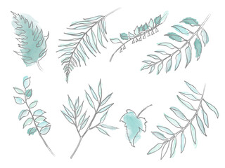 Fototapeta premium Watercolor leaf set. Different leaves and branches in green and blue palette
