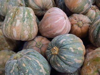 Pile of irregularly spotted and colored gourds at a vegetable market