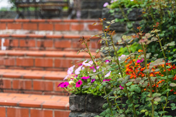 階段に咲く花