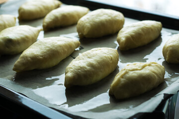 Mouth-watering, delicious fried pies only from the oven. Healthy and satisfying food.