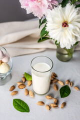 Fototapeta na wymiar Natural vegetable almond milk on the table. Nutty alternative vegetarian drink for a healthy diet