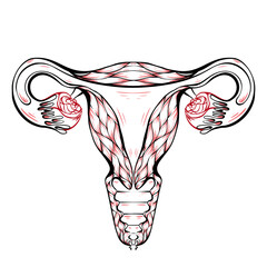Contour anatomical sketch of the uterus. Healthy female body. Woman power. Uterus with tube and ovaries. Vector outline illustration for articles, banners, cards and your design.