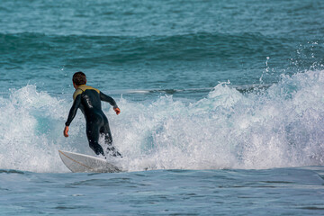 Surfer in the sea with a board and back