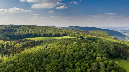 Fototapeta na wymiar Wald und Wiesenlandschaft - Luftbild