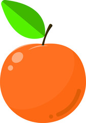vector illustration of an orange