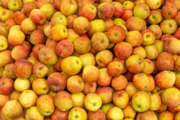 Heap of fresh ripe red-yellow apples for sale in market.
