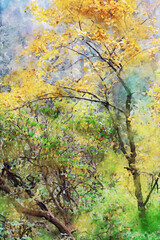 Abstract painting of trees in forest in fall season, nature in autumn landscape image, digital watercolor illustration, art for background