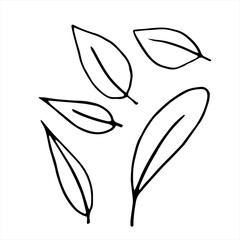 Obraz premium Vector hand drawn illustration of plant leaf in Doodle style. Empty outline isolated on a white background. Simple design for scrapbooking, coloring books, and theme design