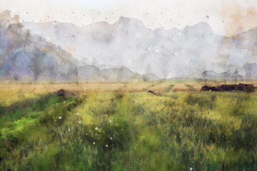 Wheat field against sky at sunset time, digital watercolor painting, art for background