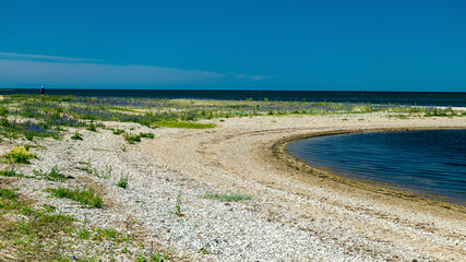 Fototapeta na wymiar traditional Saaremaa seascape, Baltic Sea, Saaremaa Island, Sorves Peninsula, Estonia