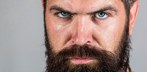 Obraz premium Portrait brutal bearded man. Handsome brutal male. Sexy closeup portrait of brutal handsome male, black beard. Portrait of masculinity. Sexy look of male. Hipster man with beard, mustache