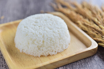 Steamed rice, cooked rice in square wooden plate with rice paddy background
