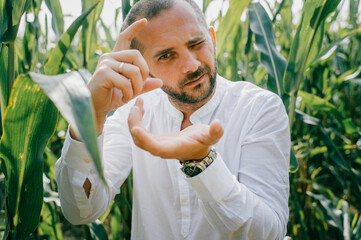 Portrait of beautiful caucasian man with short dark hair in white shirt, blue jeans relaxes in the big cornfield and shows a camera with his fingers.