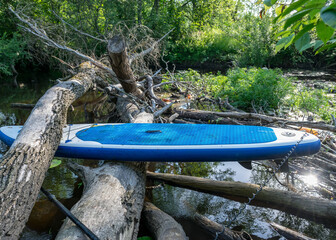 river landscape, sup board on fallen trees, overcoming various obstacles in the wild river