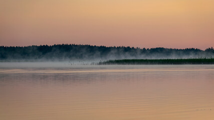 Foggy weather early in the morning on the lake. beautiful wallpapers. a mystical mist vibrates in the lake. summer sunrise