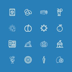 Editable 16 orange icons for web and mobile