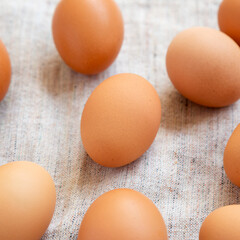 Raw Brown Eggs on cloth, side view. Close-up.