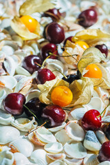 Fresh cherries, physalis and white sea shells