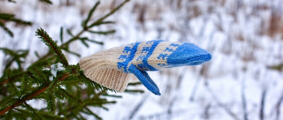 One knitted mitten lost by somebody outdoors and lying on a fir tree. The concept of wintertime,...