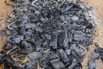 Black embers of fire on ground
