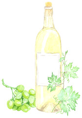 Watercolor illustration of a white wine bottle with a vine. Perfect for printing, textile, web design, souvenir products and other creative projects.