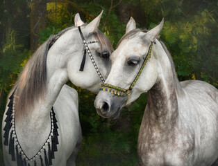 Portrait of an Arabian horse on a background of green forest