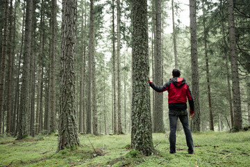 a man walking alone inside a forest in a cloudy day