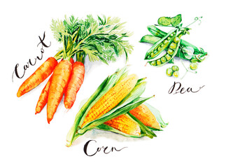 Carrot, pea and corn