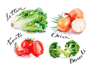 Lettuce, onion, tomato, broccoli