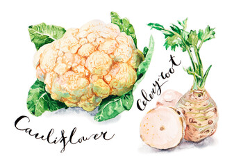 cauliflower and celery-root