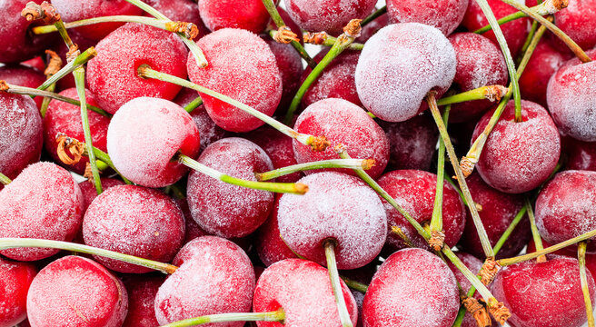 Beautiful sweet frozen cherry on a white background.Cherry in ice crystals.Frozen Berries. Organic food.Close up.Top view.