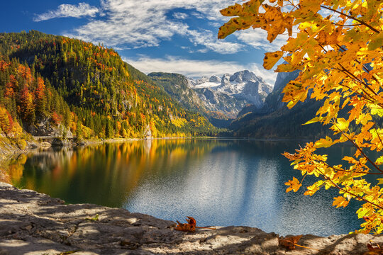 Herbstlicher Gosausee mit dem majest&auml;tischen Dachstein im Hintergund