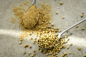 Cilantro seeds and powder prepared for cooking on a concrete kitchen worktop