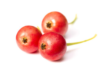 fresh Muntingia calabura fruits isolated on white background