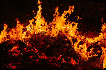 Fire flames isolated on black background. Copy space. 