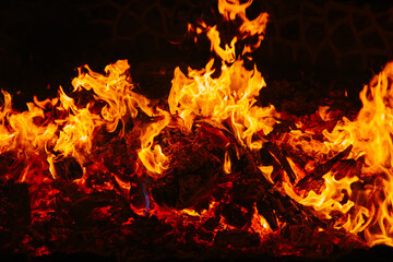 Fire flames isolated on black background. Copy space. 