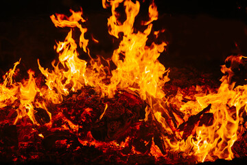 Fire flames isolated on black background. Copy space. 