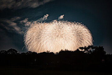 PL花火芸術のフィナーレ