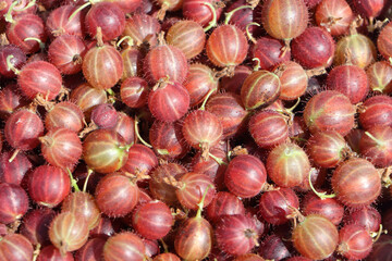 Ripe red gooseberries,  natural background