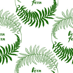 Vector seamless pattern : hand drawn curved dark green branches of fern with leaves. Linear and silhouettes. With hand written lettering. Botanical design for textile, wrapping paper.