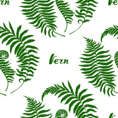 Vector seamless pattern : hand drawn curved dark green silhouettes of branches of fern with leaves. With hand written lettering. Botanical design for textile, wrapping paper.