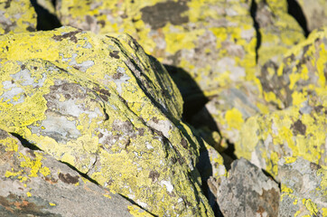 Rocher paré de motifs notamment dus aux lichens.