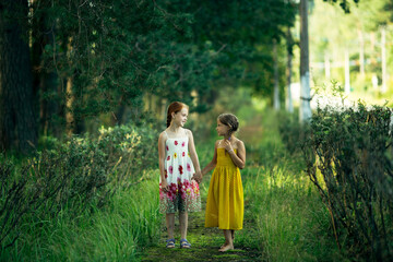 Two little girl friends are walking in a pine Park.